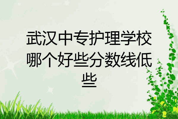 武汉中专护理学校哪个好些分数线低些