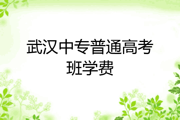 武汉中专普通高考班学费