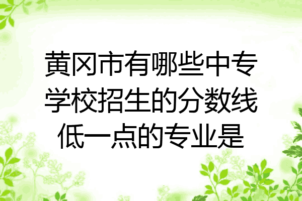 黄冈市有哪些中专学校招生的分数线低一点的专业是