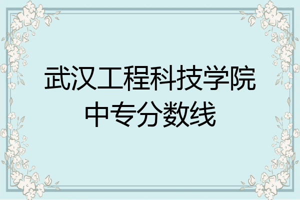武汉工程科技学院中专分数线
