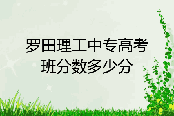 罗田理工中专高考班分数多少分