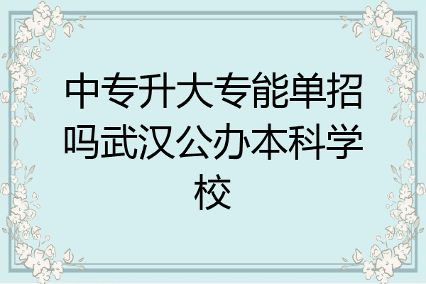 中专升大专能单招吗武汉公办本科学校