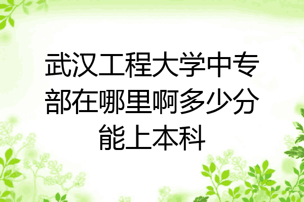 武汉工程大学中专部在哪里啊多少分能上本科