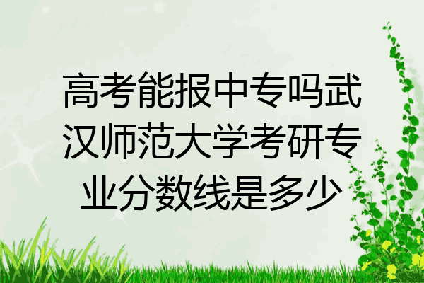 高考能报中专吗武汉师范大学考研专业分数线是多少