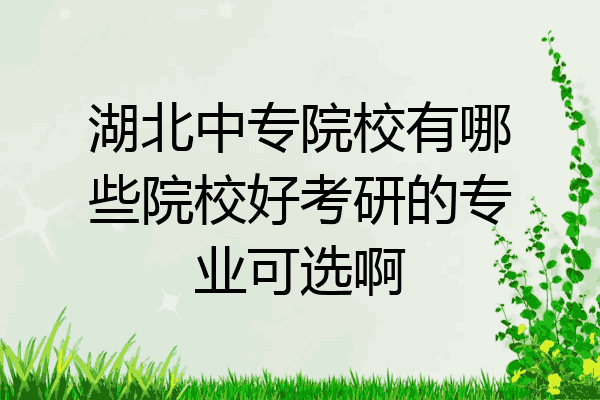 湖北中专院校有哪些院校好考研的专业可选啊