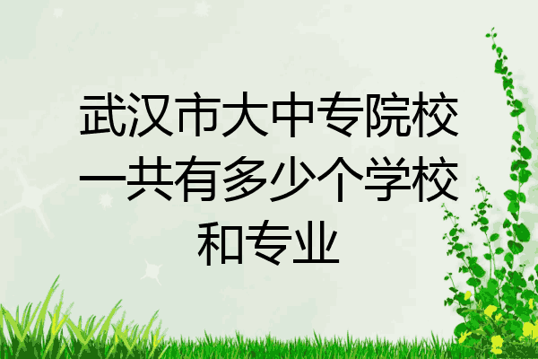 武汉市大中专院校一共有多少个学校和专业