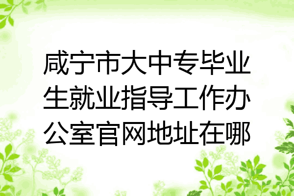 咸宁市大中专毕业生就业指导工作办公室官网地址在哪
