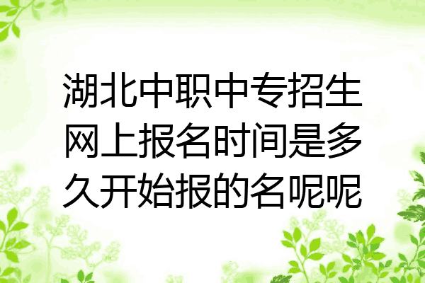 湖北中职中专招生网上报名时间是多久开始报的名呢呢
