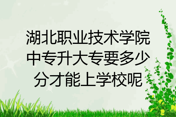 湖北职业技术学院中专升大专要多少分才能上学校呢