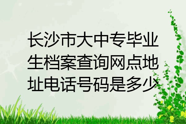 长沙市大中专毕业生档案查询网点地址电话号码是多少