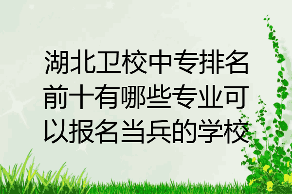 湖北卫校中专排名前十有哪些专业可以报名当兵的学校