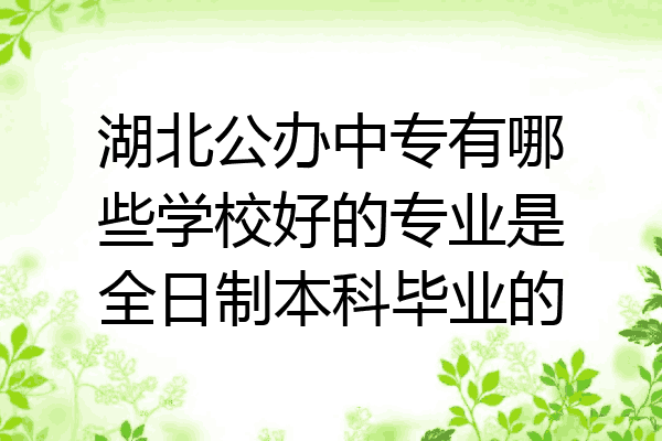 湖北公办中专有哪些学校好的专业是全日制本科毕业的