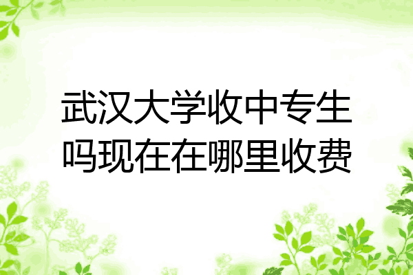 武汉大学收中专生吗现在在哪里收费