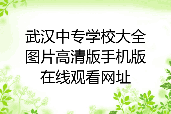 武汉中专学校大全图片高清版手机版在线观看网址