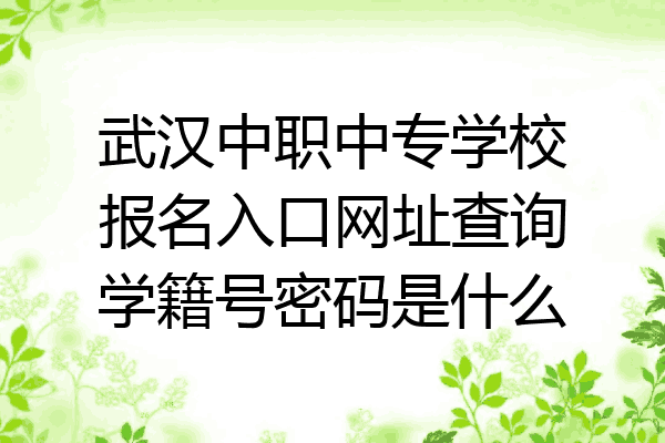 武汉中职中专学校报名入口网址查询学籍号密码是什么