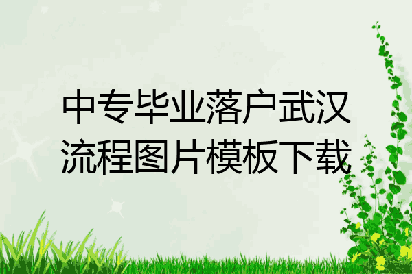 中专毕业落户武汉流程图片模板下载