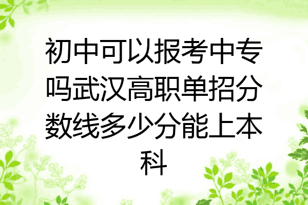 初中可以报考中专吗武汉高职单招分数线多少分能上本科