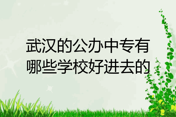 武汉的公办中专有哪些学校好进去的