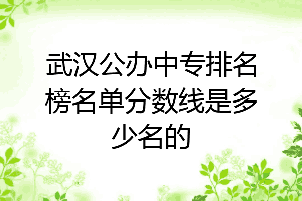 武汉公办中专排名榜名单分数线是多少名的