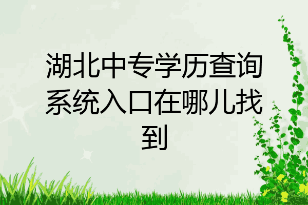湖北中专学历查询系统入口在哪儿找到