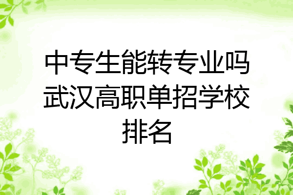 中专生能转专业吗武汉高职单招学校排名