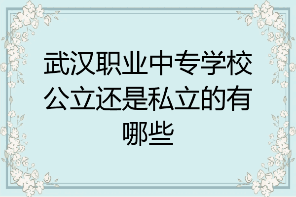 武汉职业中专学校公立还是私立的有哪些