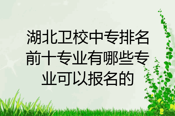 湖北卫校中专排名前十专业有哪些专业可以报名的