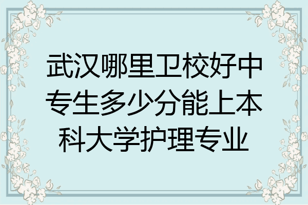 武汉哪里卫校好中专生多少分能上本科大学护理专业