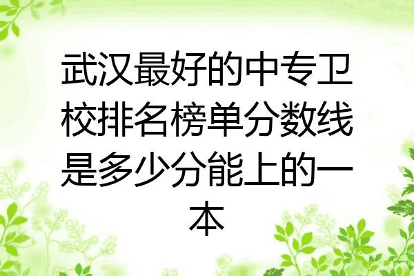 武汉最好的中专卫校排名榜单分数线是多少分能上的一本