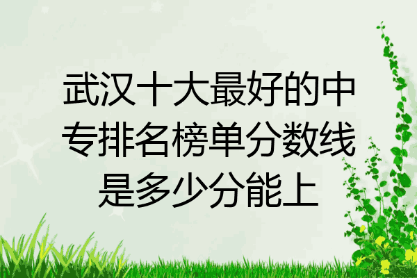 武汉十大最好的中专排名榜单分数线是多少分能上