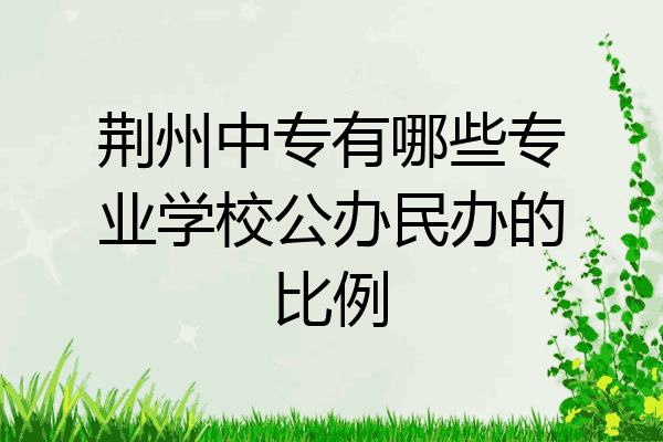 荆州中专有哪些专业学校公办民办的比例