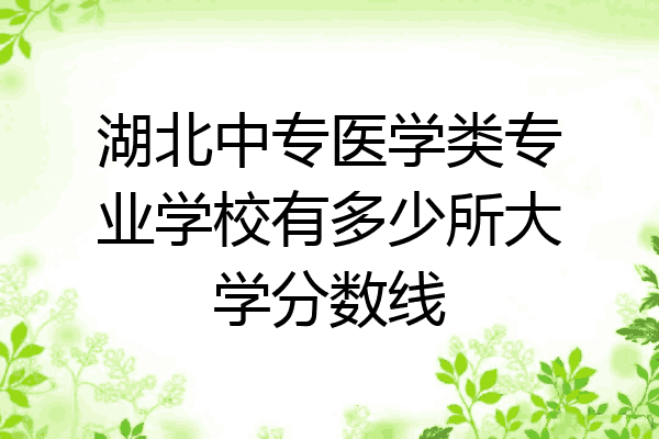 湖北中专医学类专业学校有多少所大学分数线