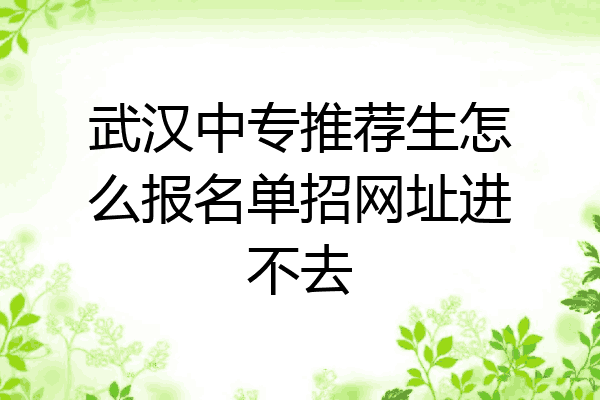 武汉中专推荐生怎么报名单招网址进不去