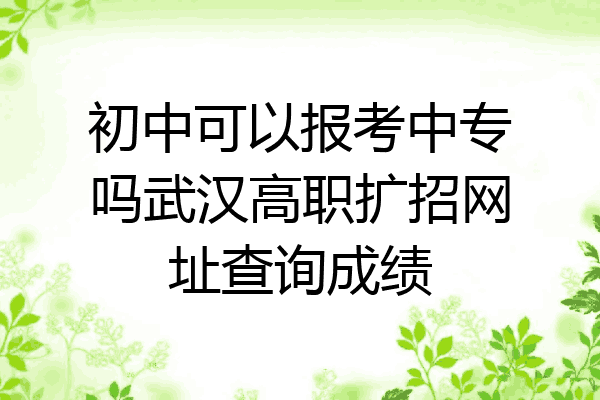 初中可以报考中专吗武汉高职扩招网址查询成绩