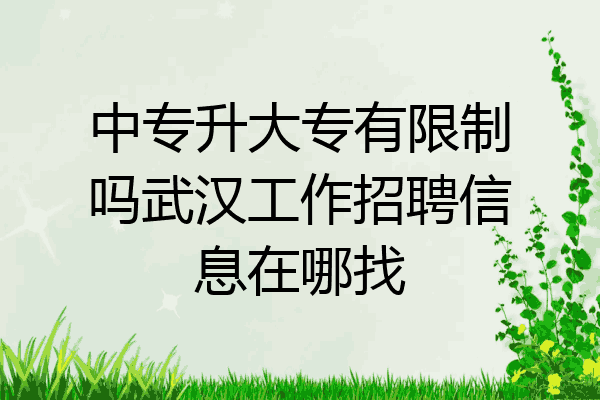 中专升大专有限制吗武汉工作招聘信息在哪找
