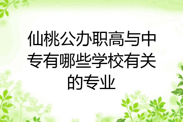 仙桃公办职高与中专有哪些学校有关的专业