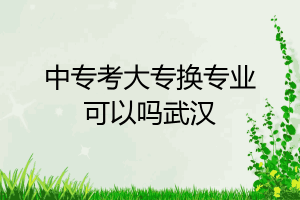 中专考大专换专业可以吗武汉