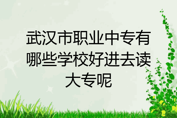 武汉市职业中专有哪些学校好进去读大专呢