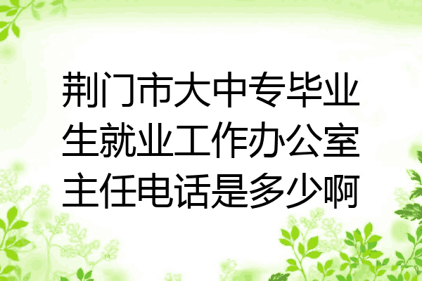 荆门市大中专毕业生就业工作办公室主任电话是多少啊