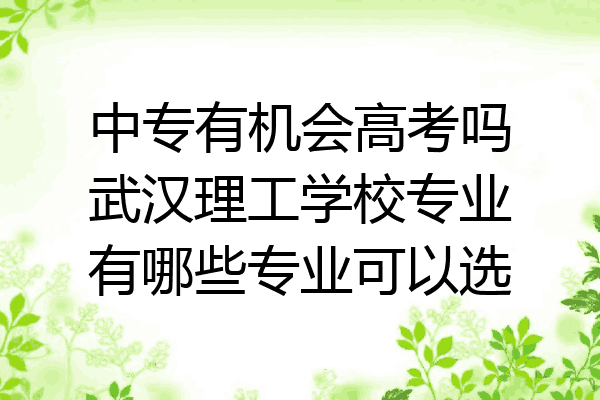 中专有机会高考吗武汉理工学校专业有哪些专业可以选