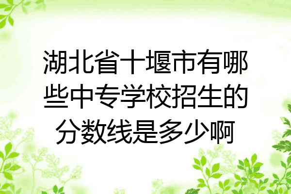 湖北省十堰市有哪些中专学校招生的分数线是多少啊