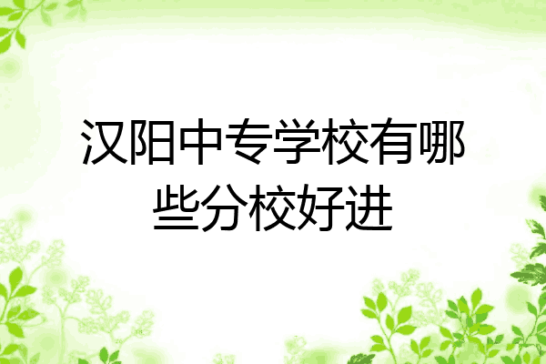 汉阳中专学校有哪些分校好进