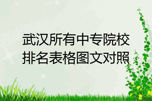 武汉所有中专院校排名表格图文对照