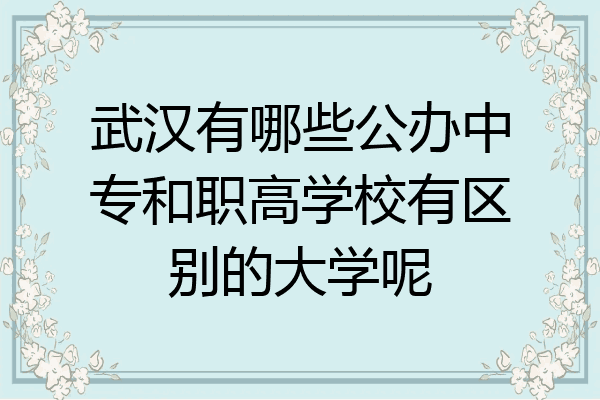 武汉有哪些公办中专和职高学校有区别的大学呢