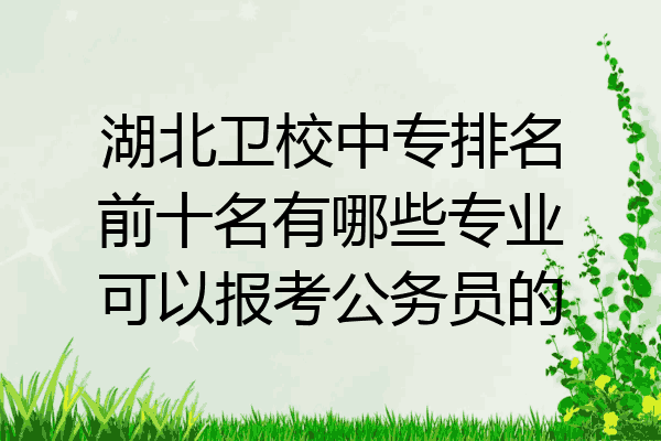 湖北卫校中专排名前十名有哪些专业可以报考公务员的