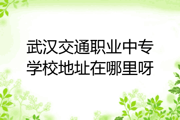 武汉交通职业中专学校地址在哪里呀