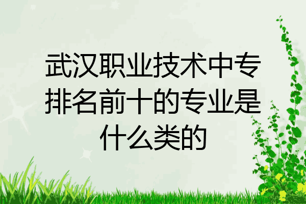 武汉职业技术中专排名前十的专业是什么类的