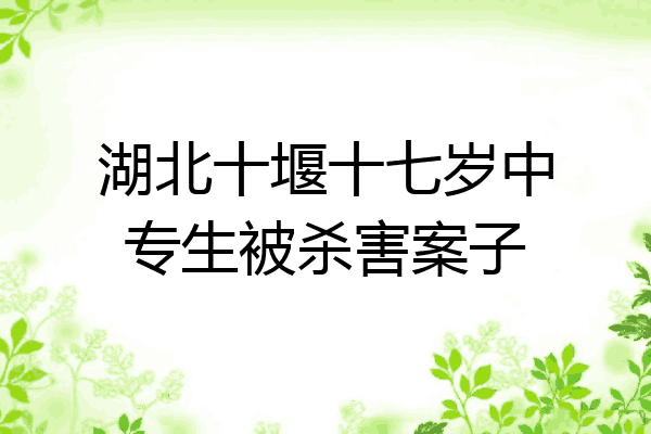 湖北十堰十七岁中专生被杀害案子