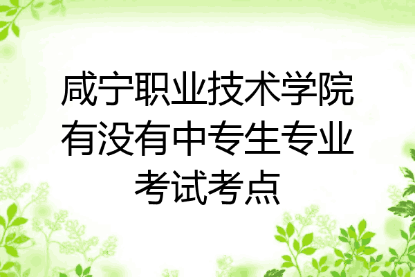 咸宁职业技术学院有没有中专生专业考试考点