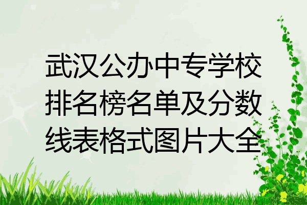 武汉公办中专学校排名榜名单及分数线表格式图片大全